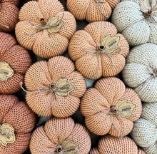 Load image into Gallery viewer, Cozy Knit Pumpkin
