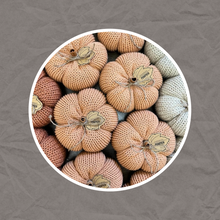 Load image into Gallery viewer, Cozy Knit Pumpkin
