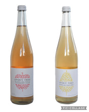 Load image into Gallery viewer, Sparkling Cider Duo

